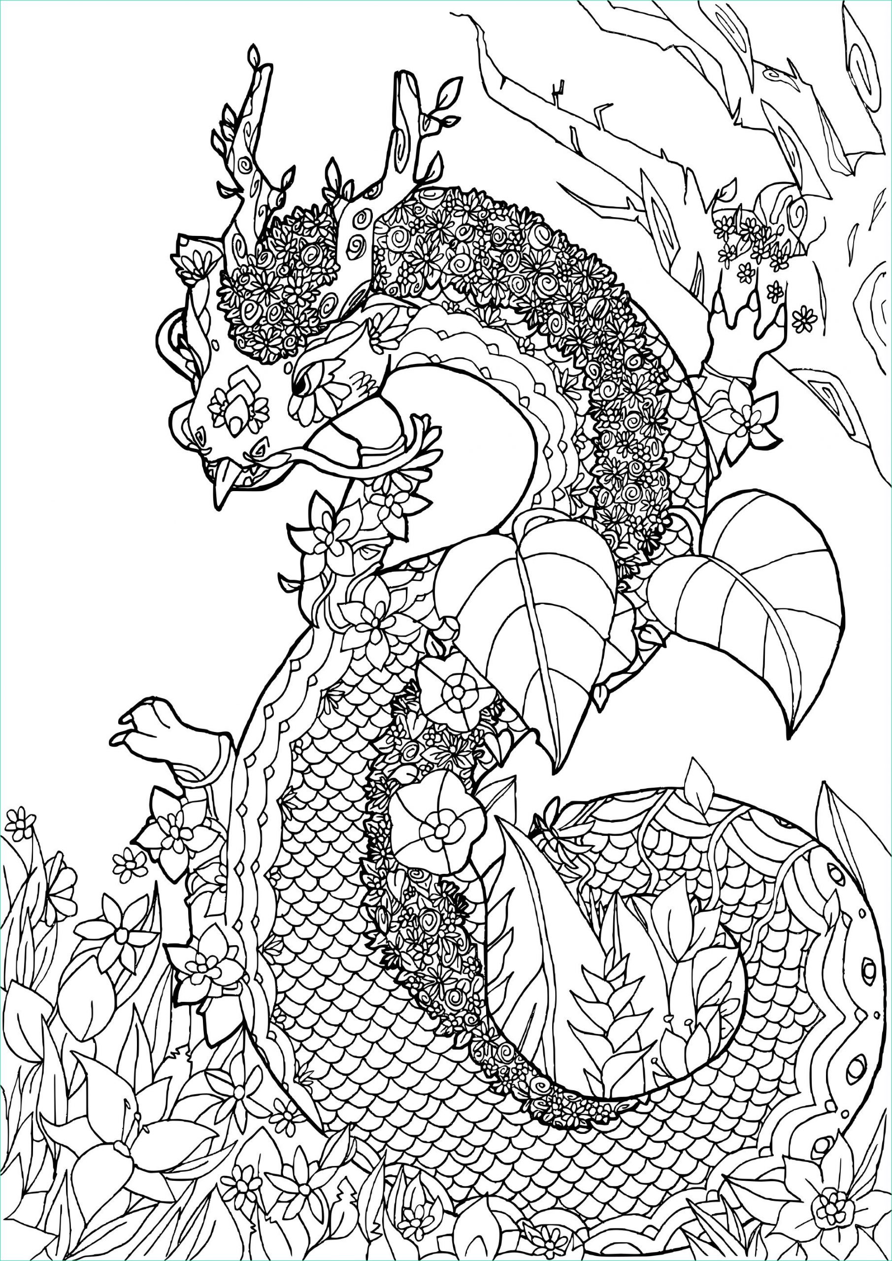 zen dragon