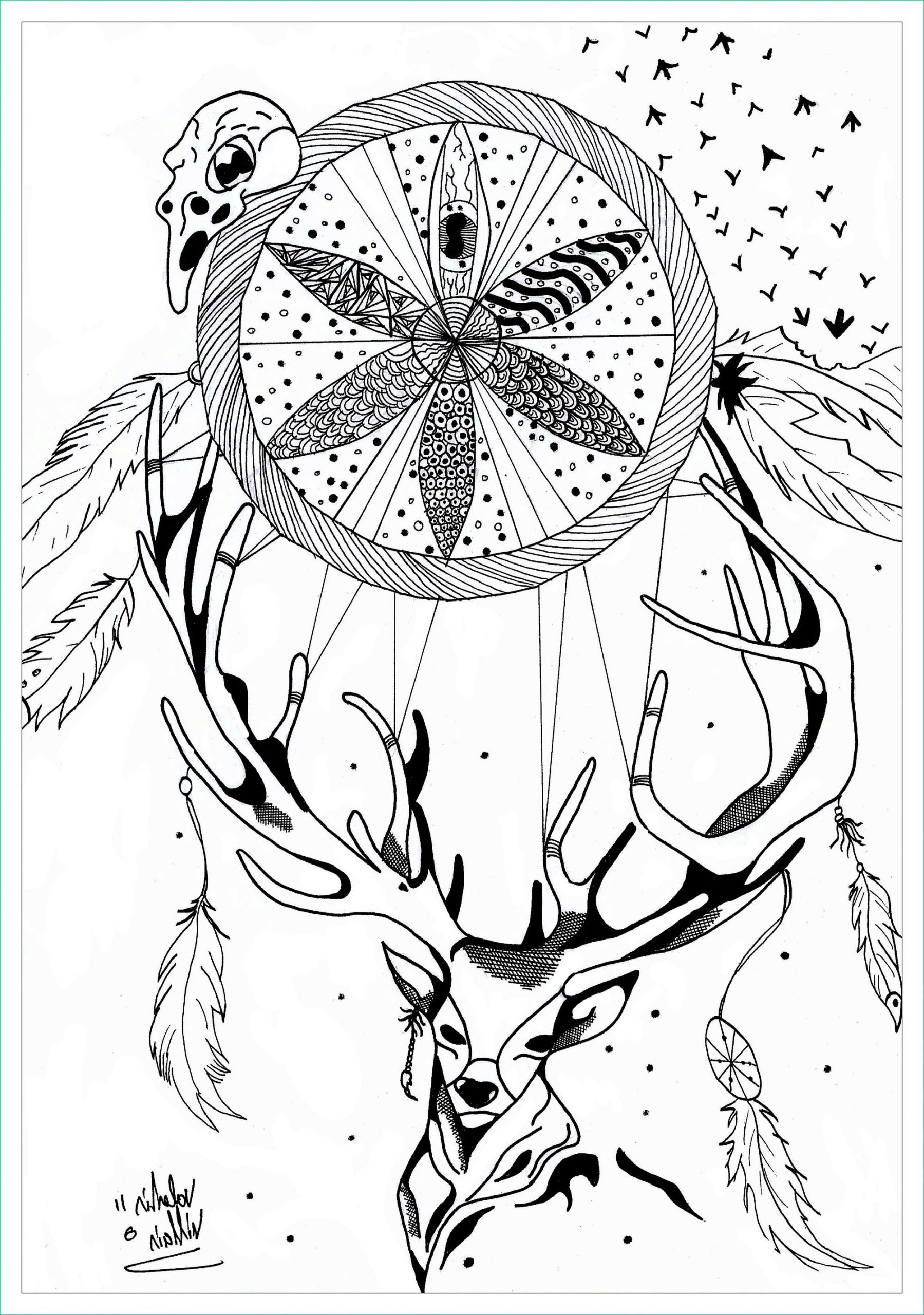 image=anti stress coloring deer detante par valentin 1