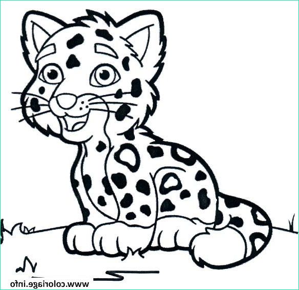animaux mignon bebe guepard coloriage