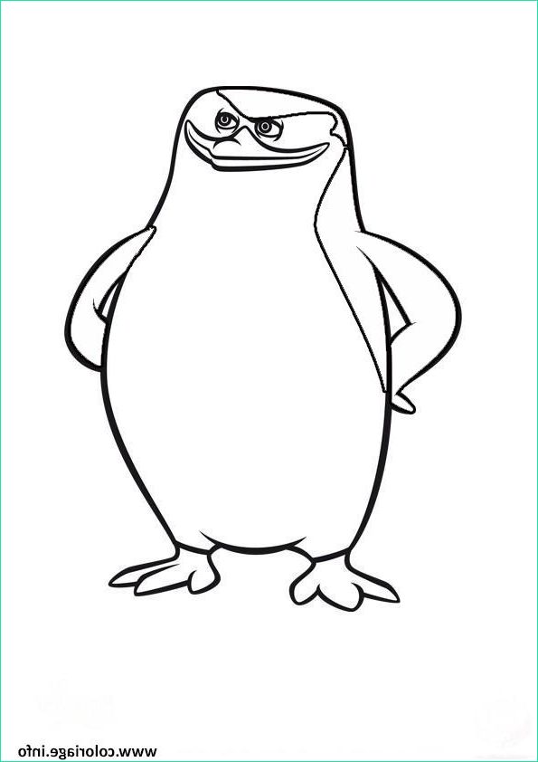 pingouins de madagascar confiant coloriage