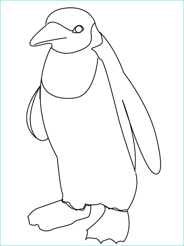 Coloriage Le pingouin