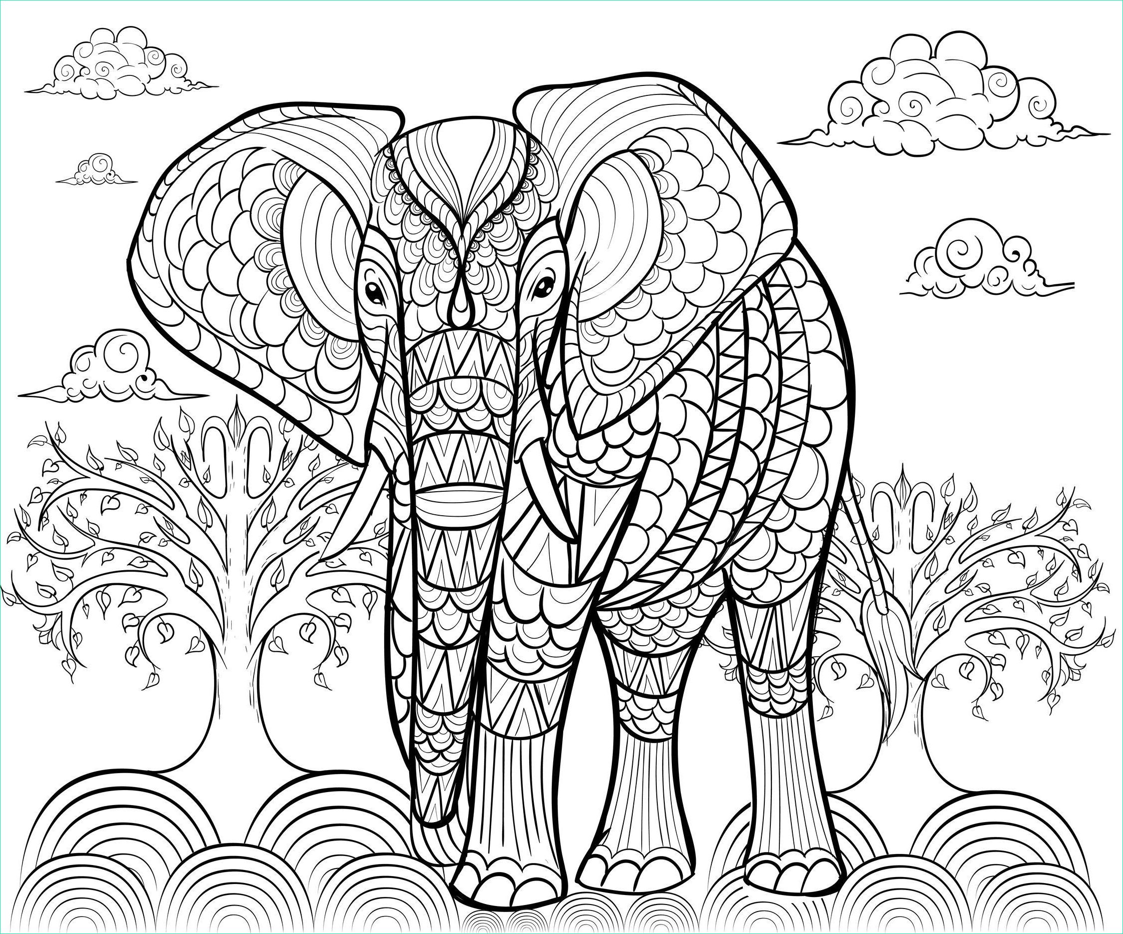 12 coloriage a imprimer elephant gratuit