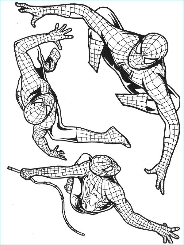 coloriage spiderman dans plusieurs postures