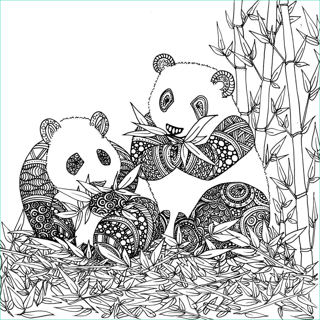 coloriage de animaux panda imprimer par chocobo
