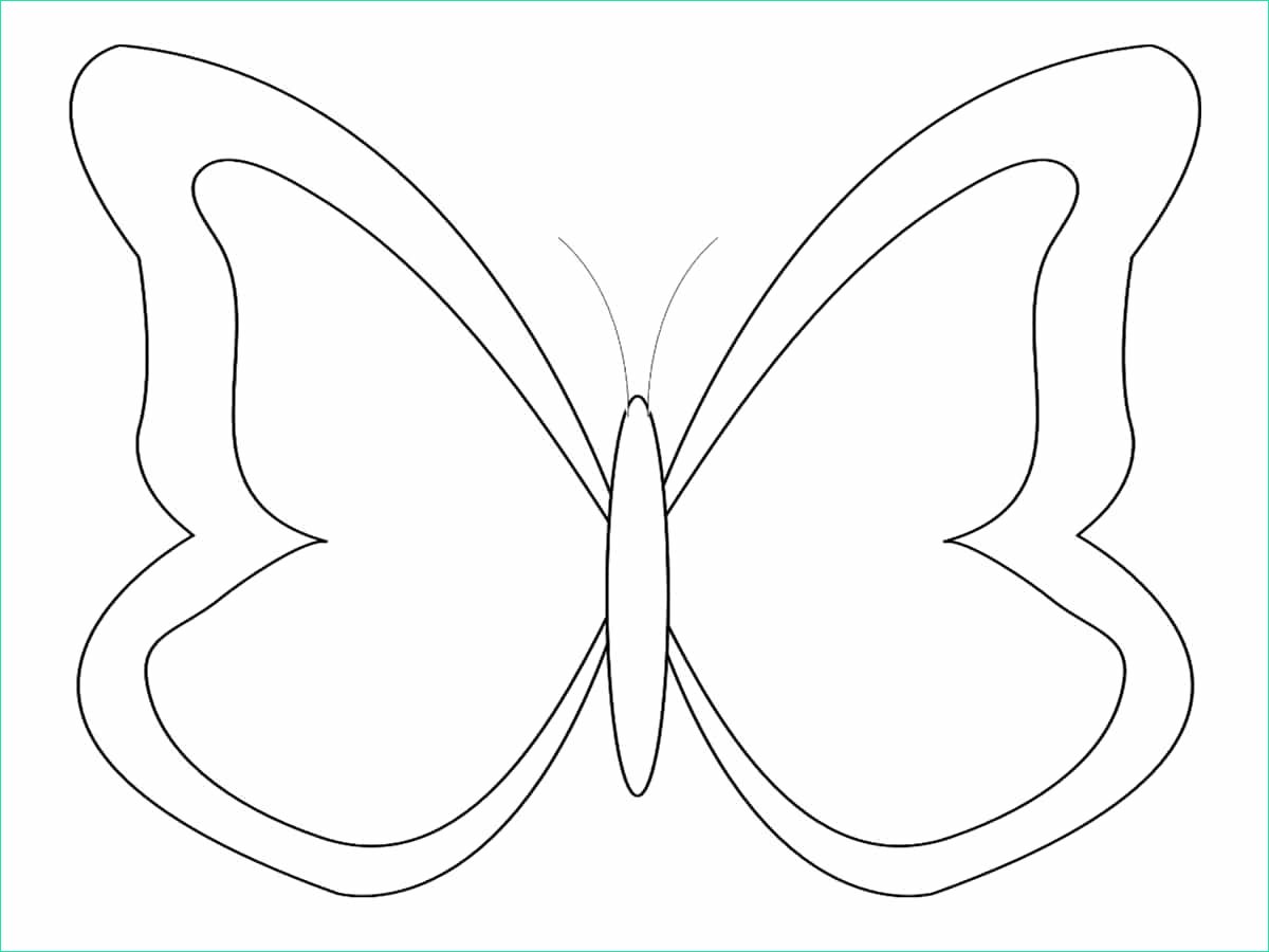 22 coloriage imprimer papillon