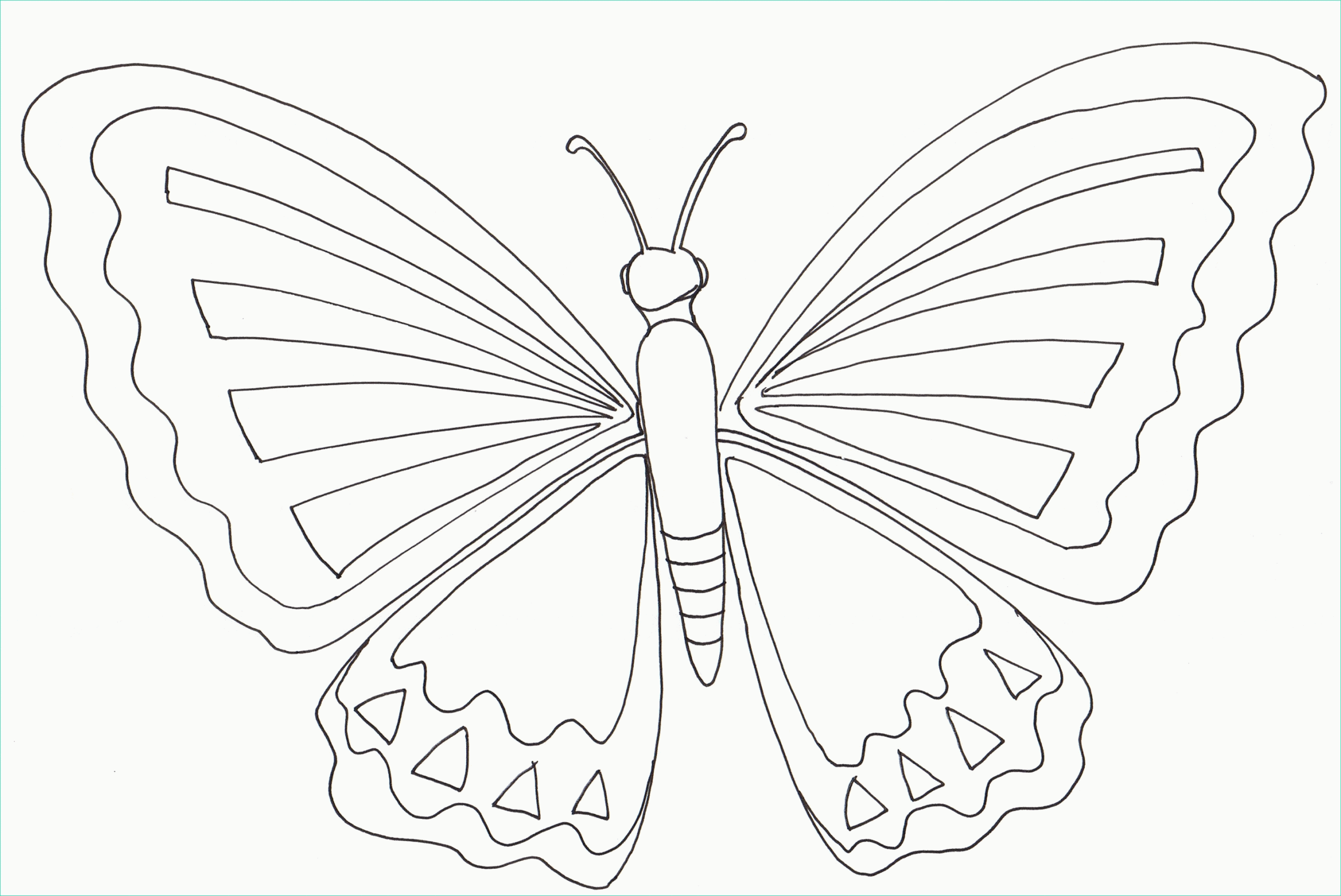 dessin a imprimer papillon