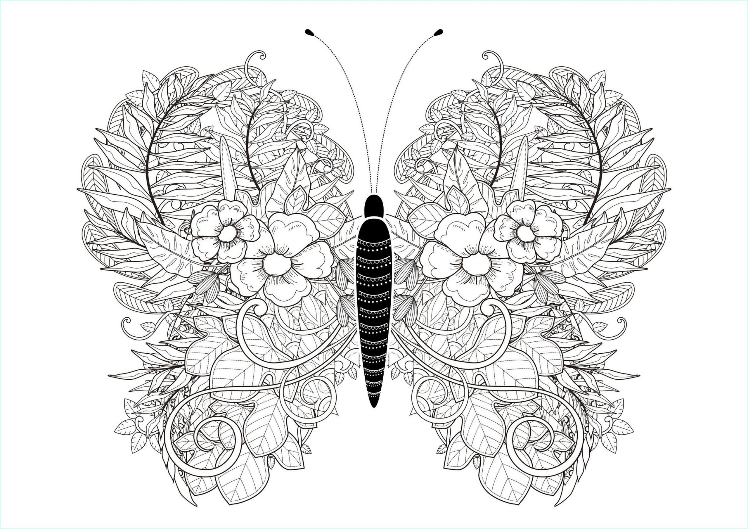 image=insectes coloriage papillon ailes fleurs feuilles 1