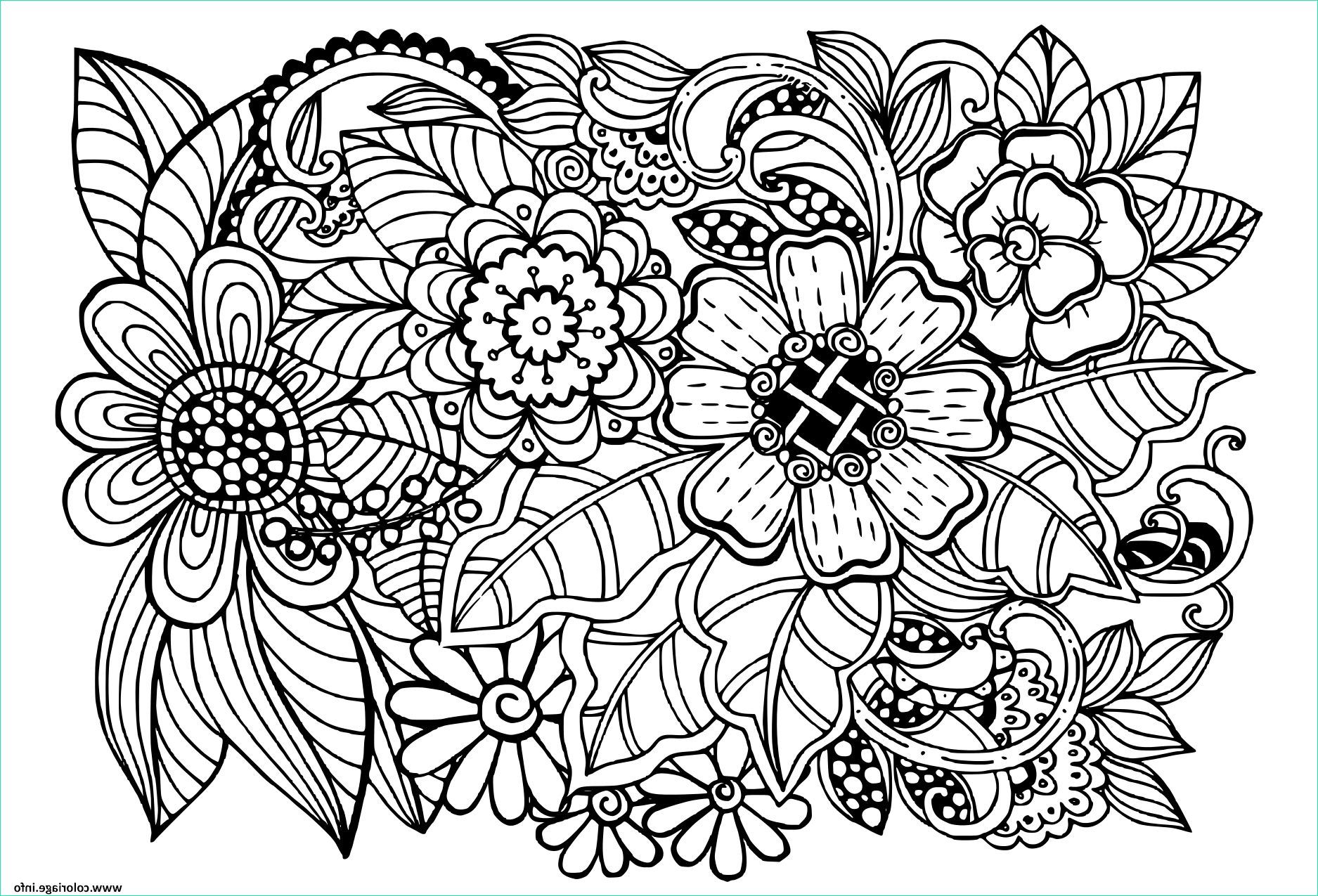 beau doodle motif floral adulte coloriage