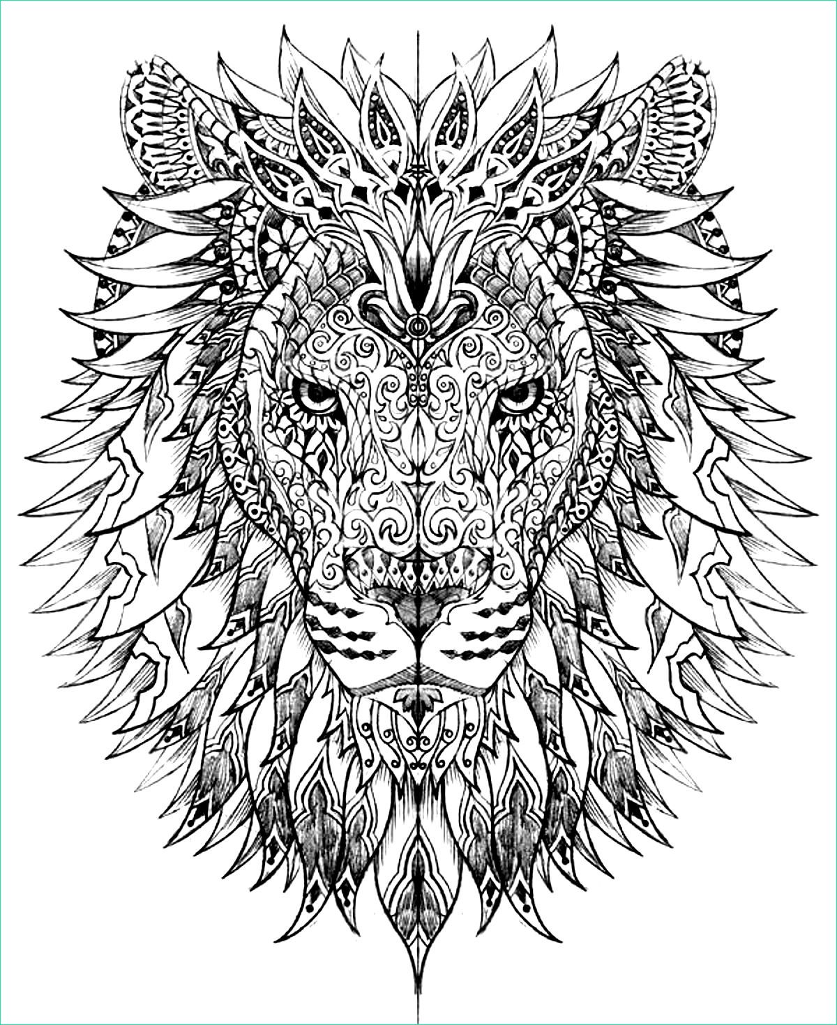 image=lions coloriage adulte difficile tete lion 1