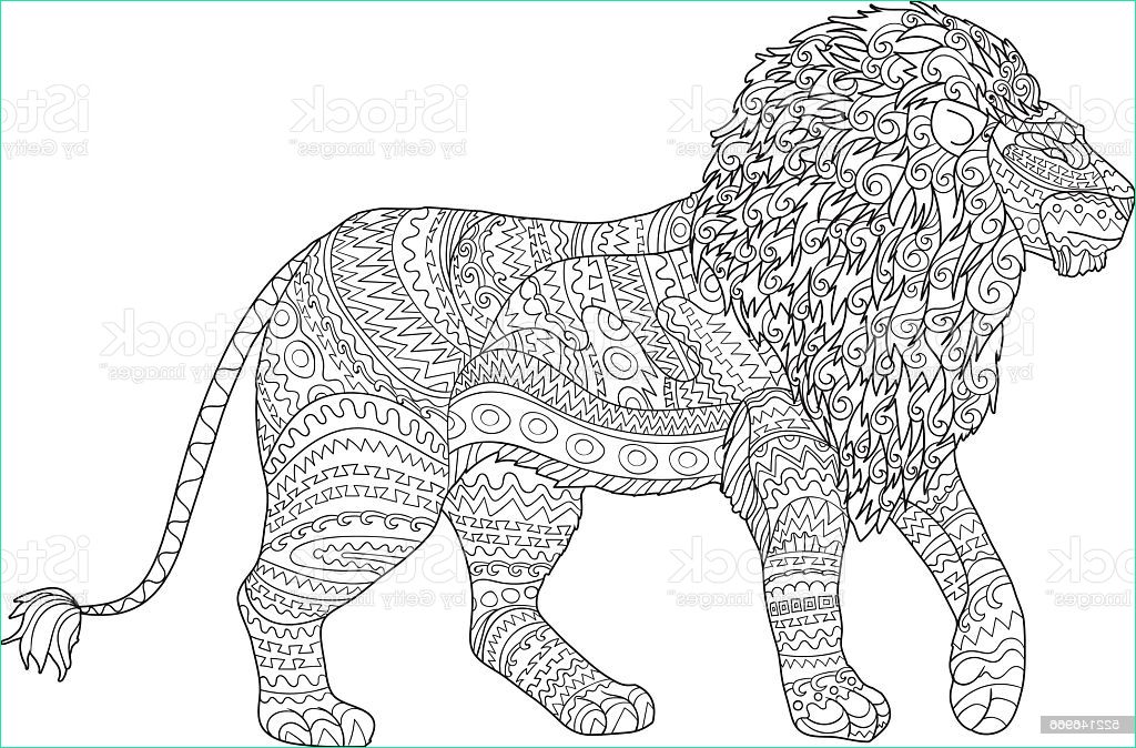adult coloring page for antistress with lion gm