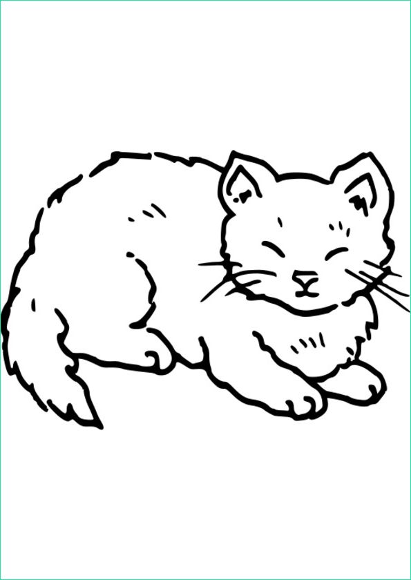 coloriage animaux 2 ans