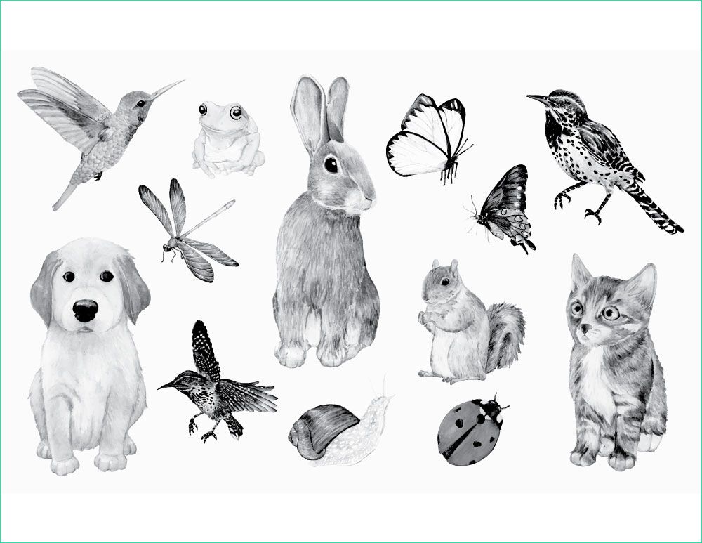 dessin animaux domestique stamp gratuit a imprimer