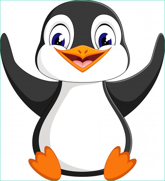 nujetu dessin de pingouin en couleur