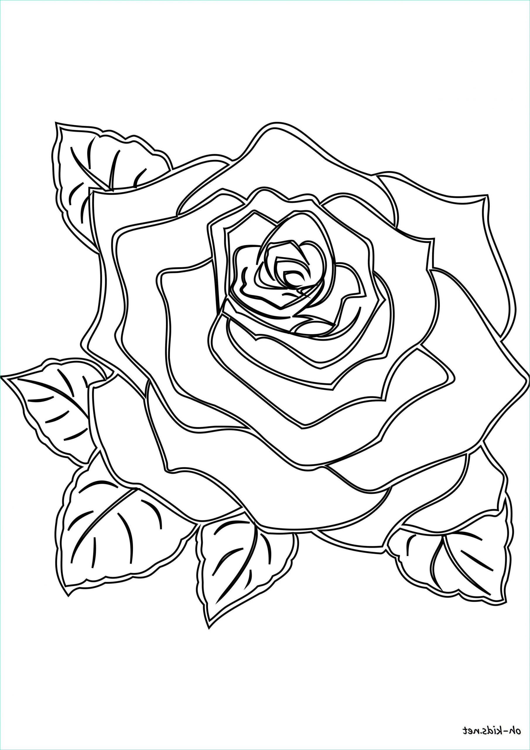 coloriage roses 1464