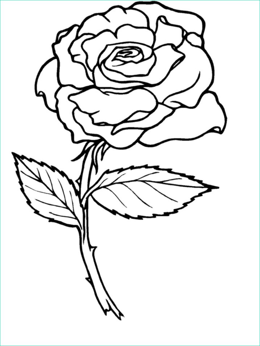 dessin de rose a imprimer