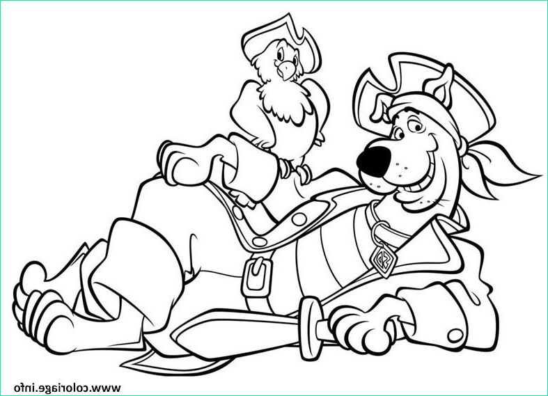 scooby doo pirate peroquet coloriage dessin
