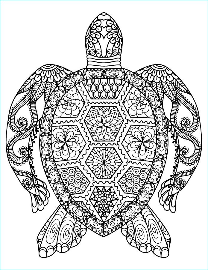 dessin de animaux a imprimer tortue gratuite