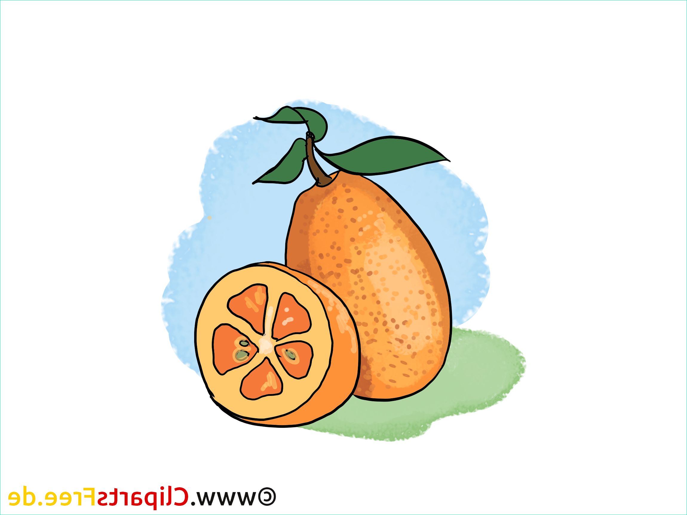 oranges dessin fruits clip arts gratuits 4958