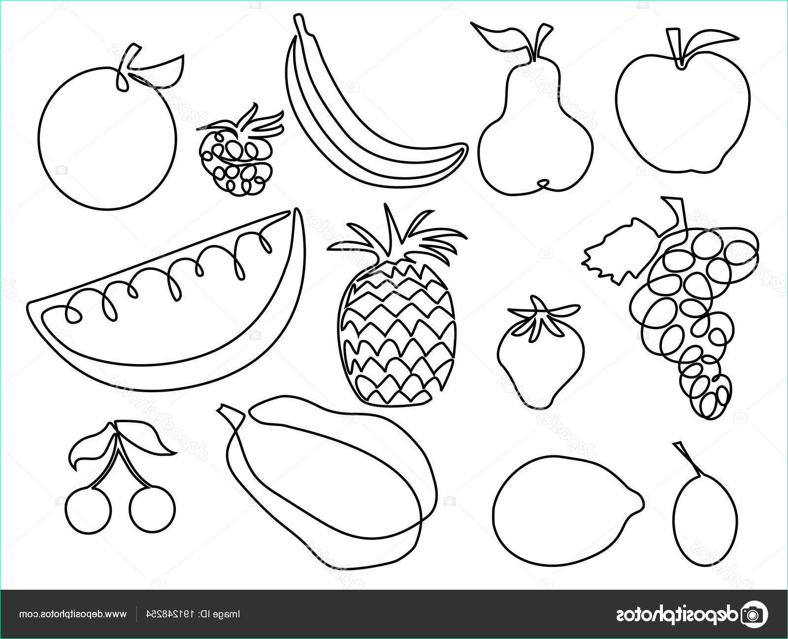 stock illustration abstract fruits one line drawing