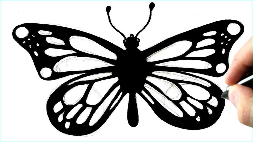dessin papillon a imprimer beau photos ment dessiner un papillon