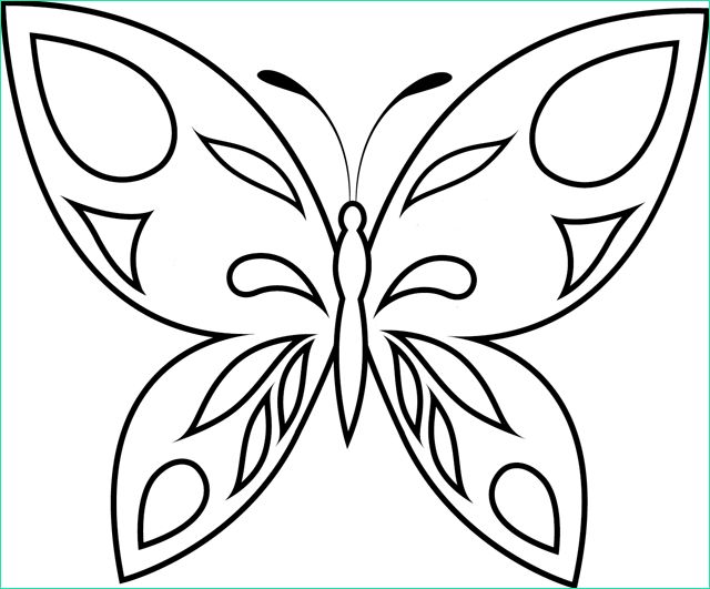 coloriage papillon2