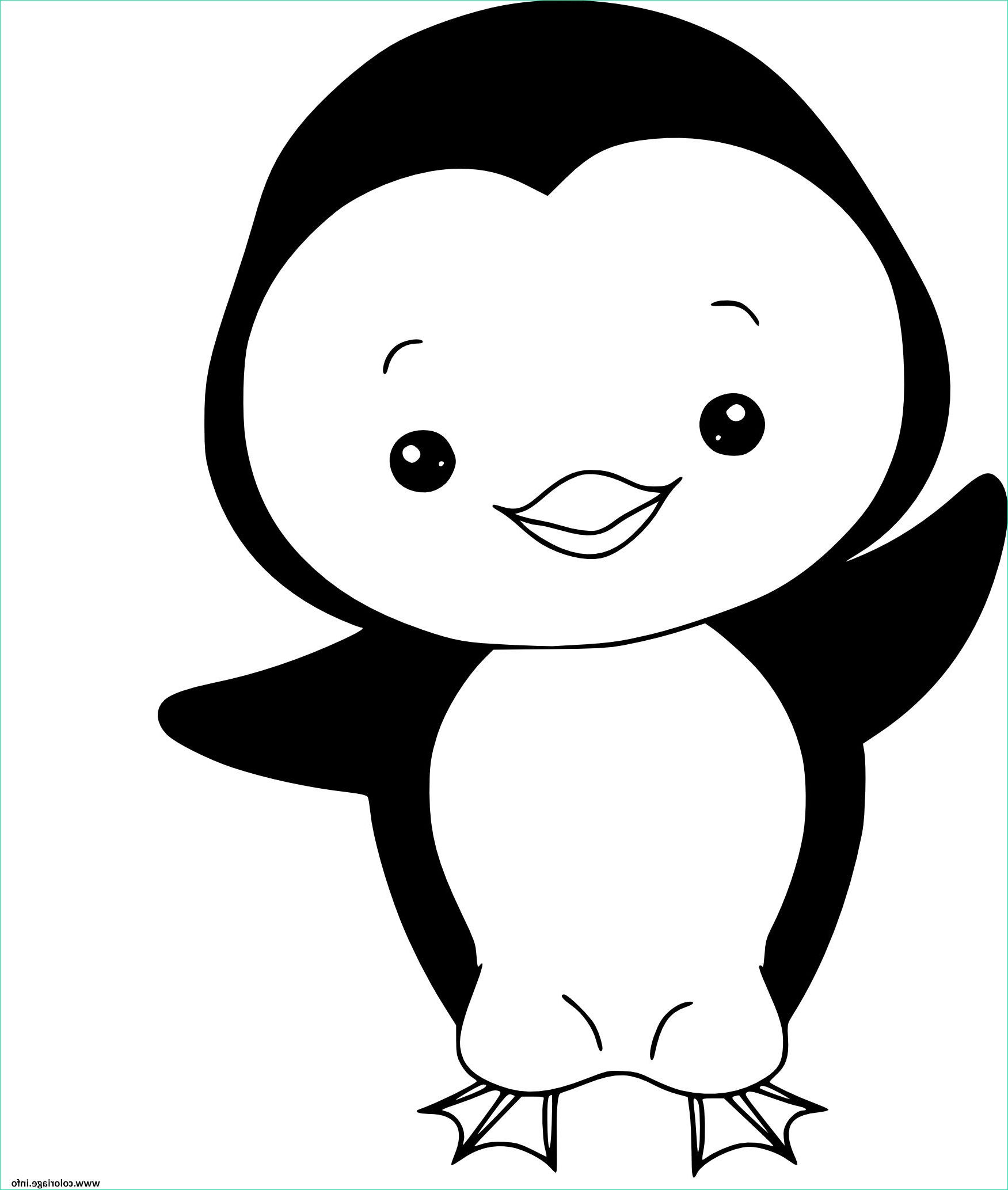 pingouin facile coloriage dessin