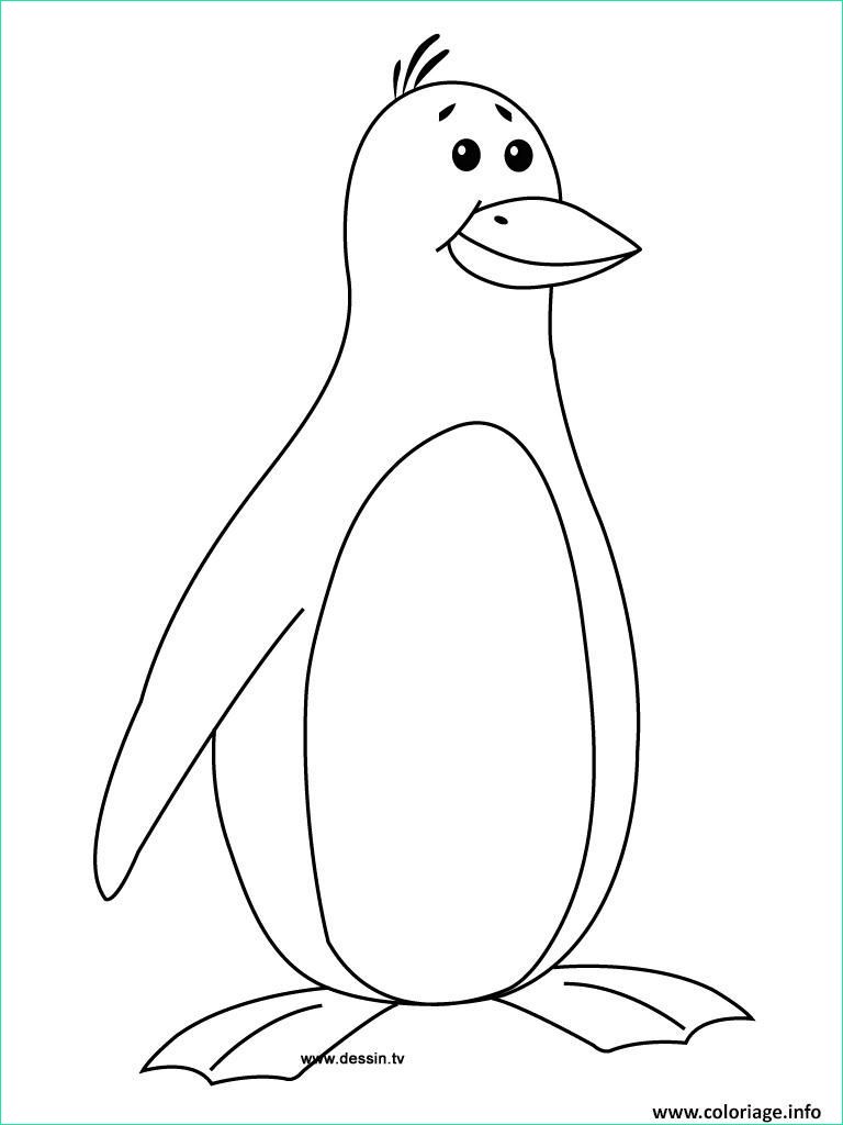 pingouin dessin facile luxe galerie coloriage pingouin facile pour enfant jecolorie