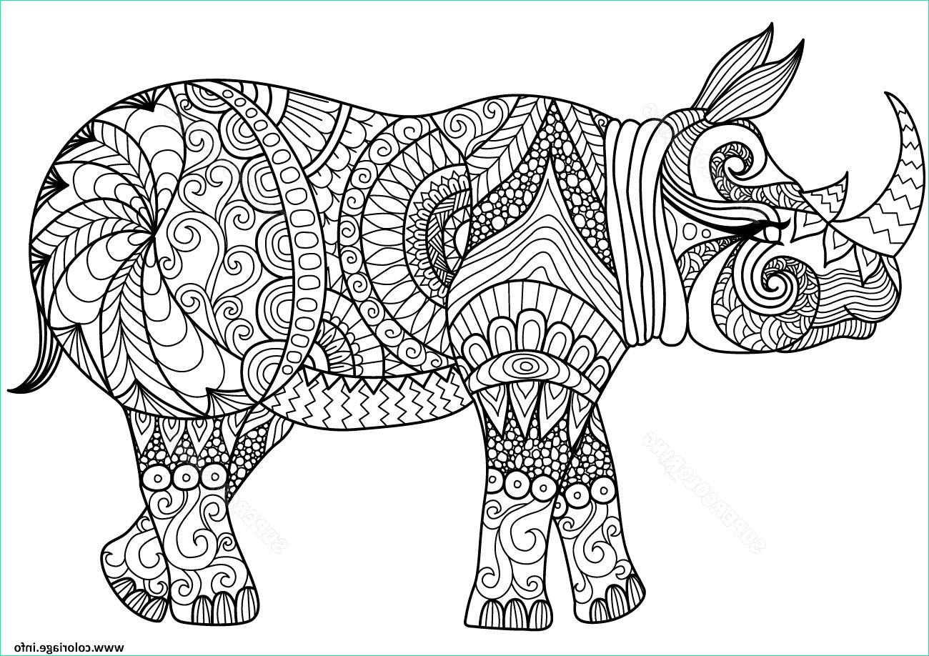 zentangle rhino adulte coloriage dessin