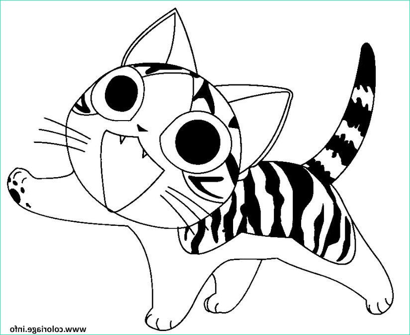 chat chi etonne coloriage dessin