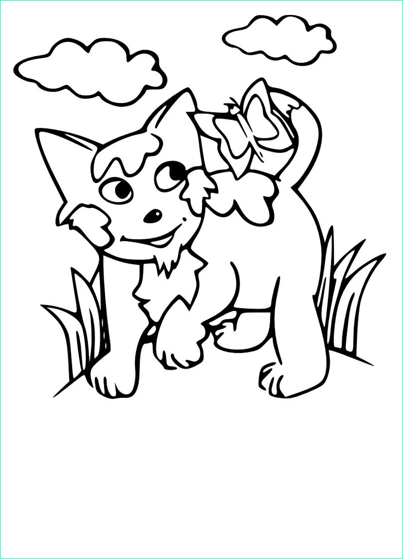 coloriage chat nature