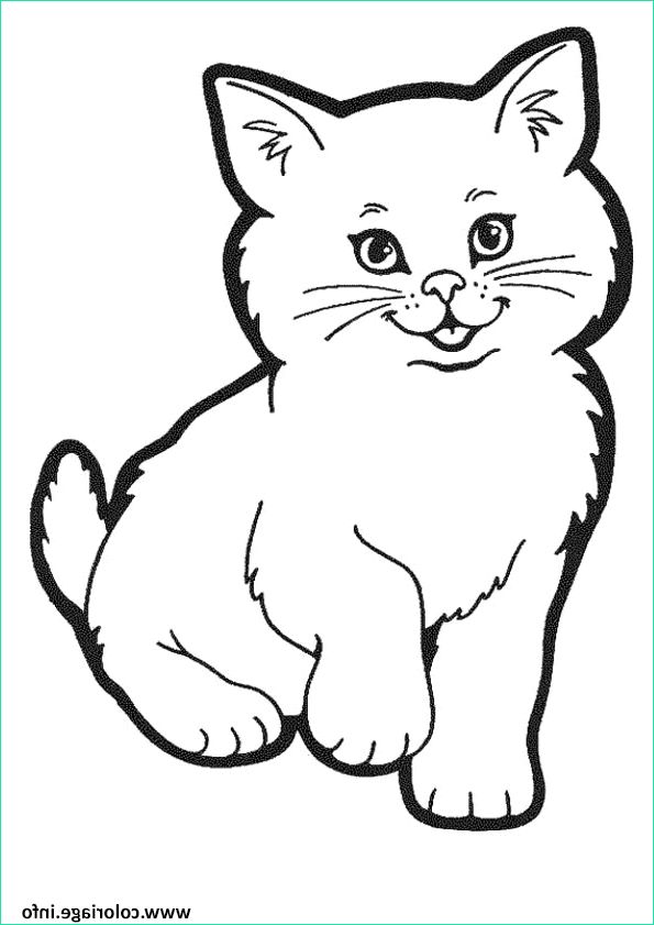 chaton chat mignon coloriage dessin