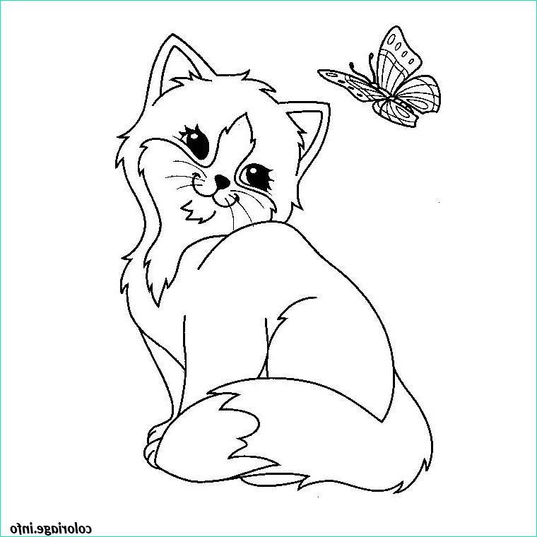 chaton mignon coloriage dessin 2226