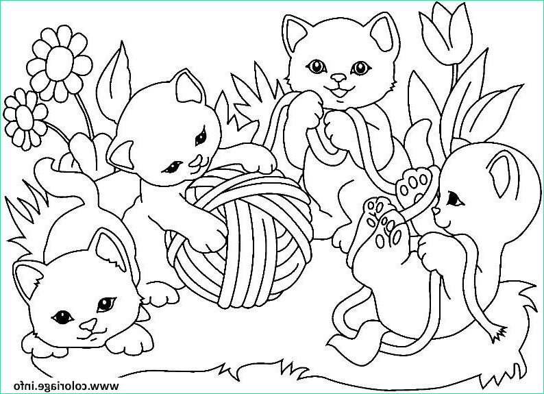 chaton mignon jouent coloriage dessin