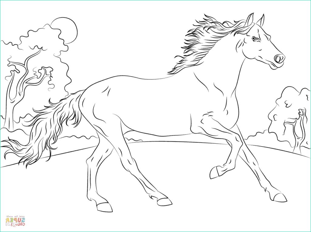 morgan horse coloring pages
