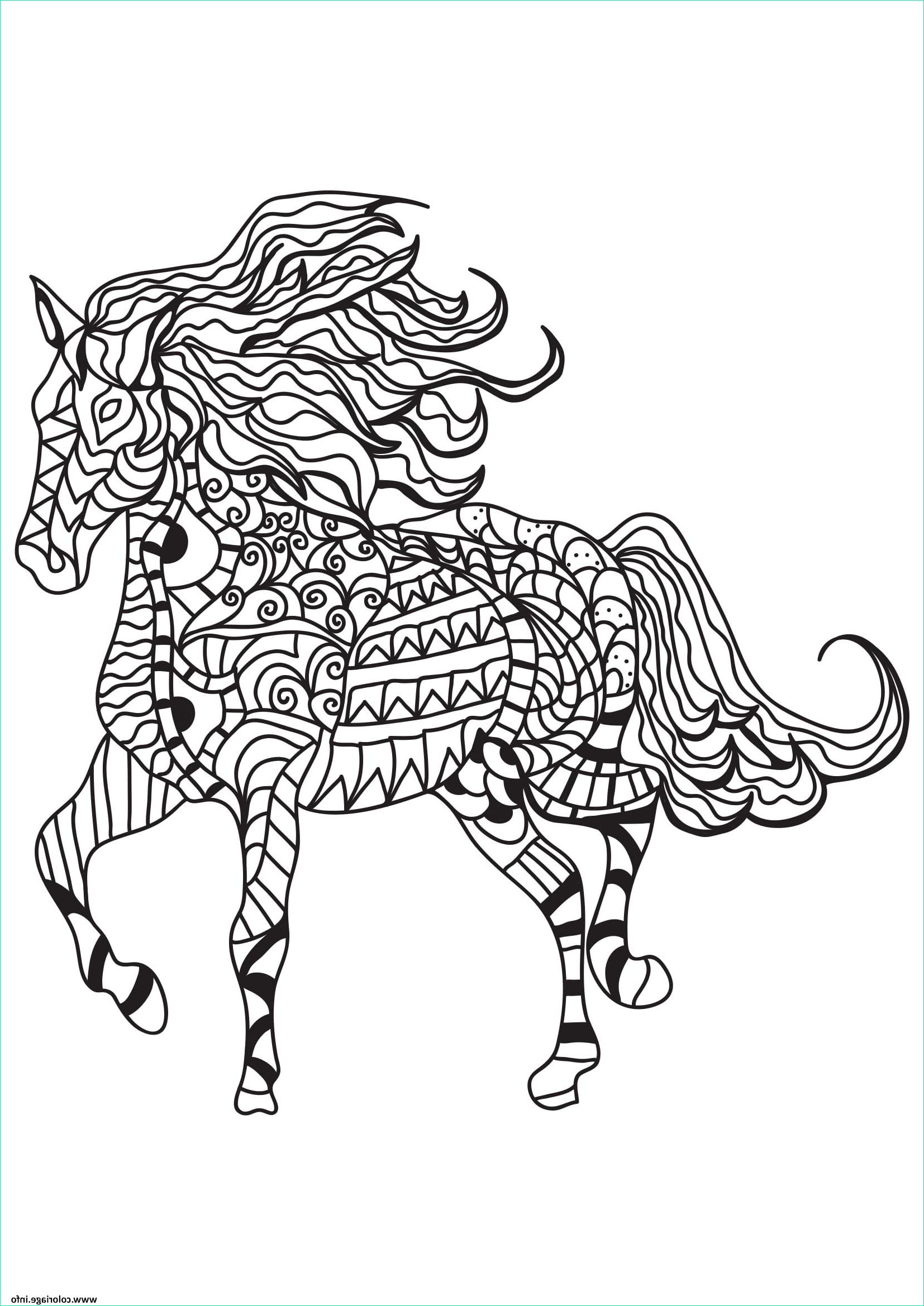 adulte cheval zentangle 16 coloriage dessin