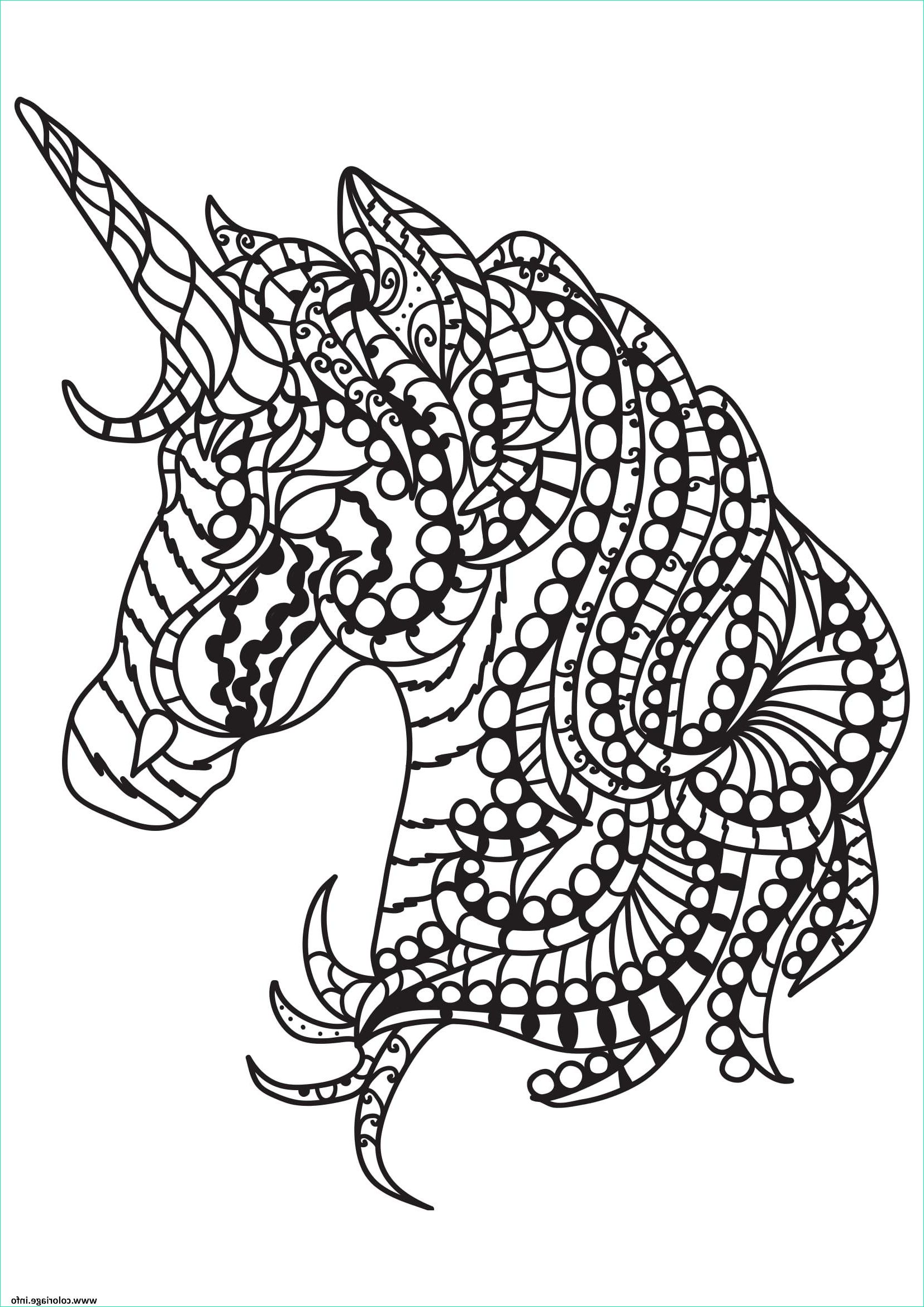 cheval pour adulte 24 coloriage dessin