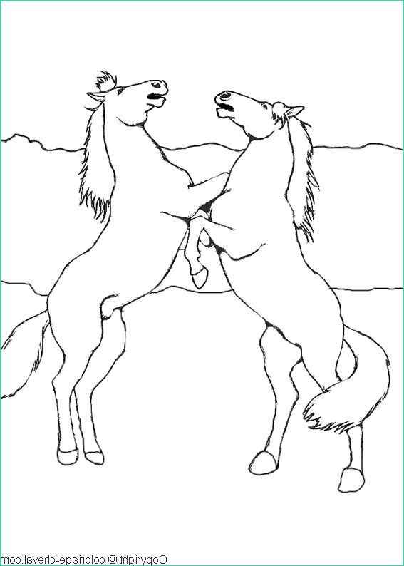 dessin de cheval facile