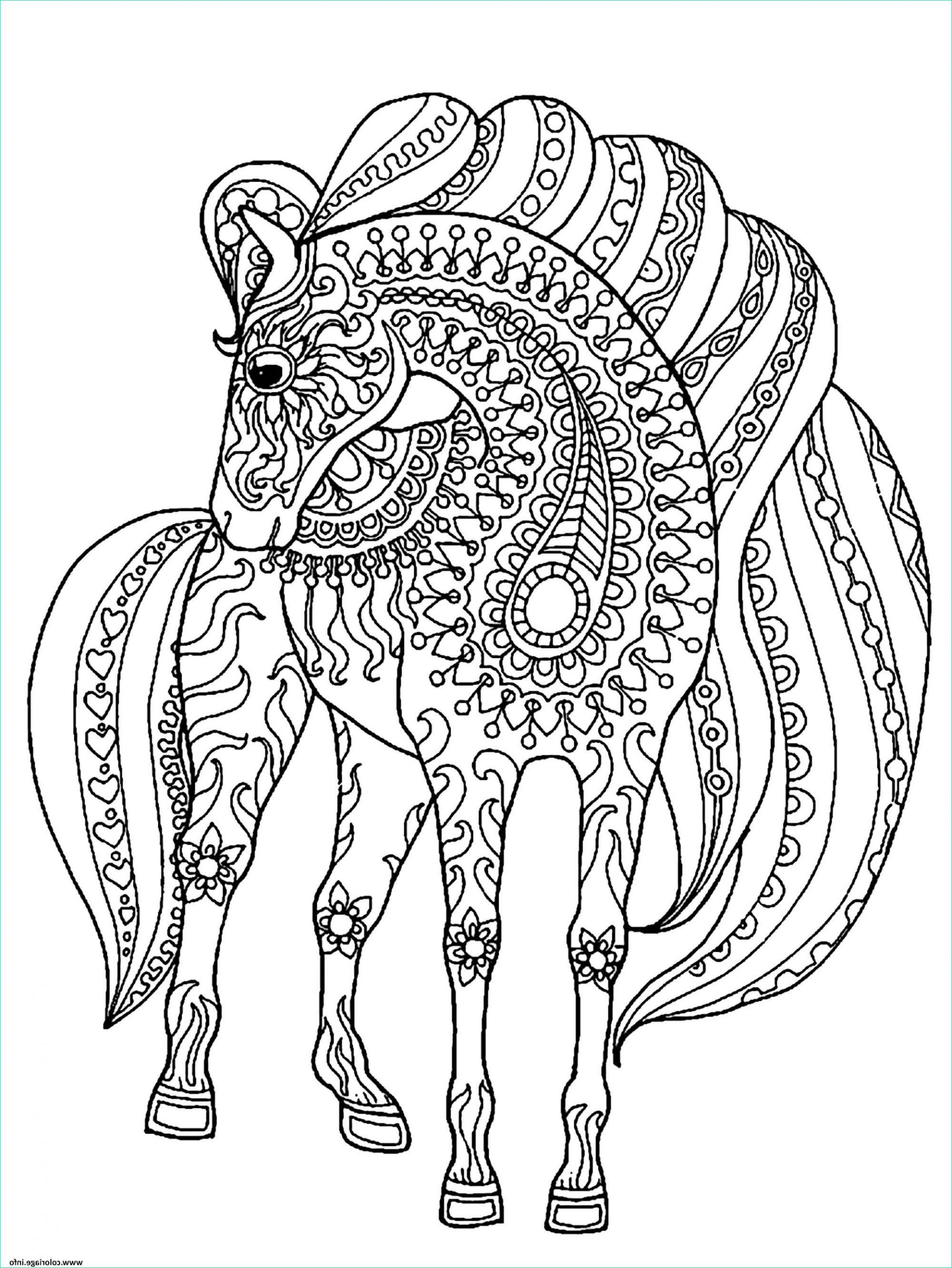 adulte cheval simple zentangle patterns coloriage dessin