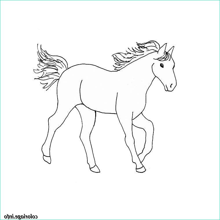 cheval coloriage dessin 283