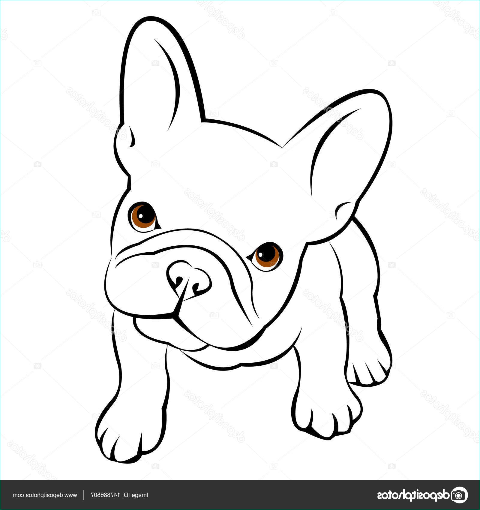 stock illustration bulldog dog animal french vector