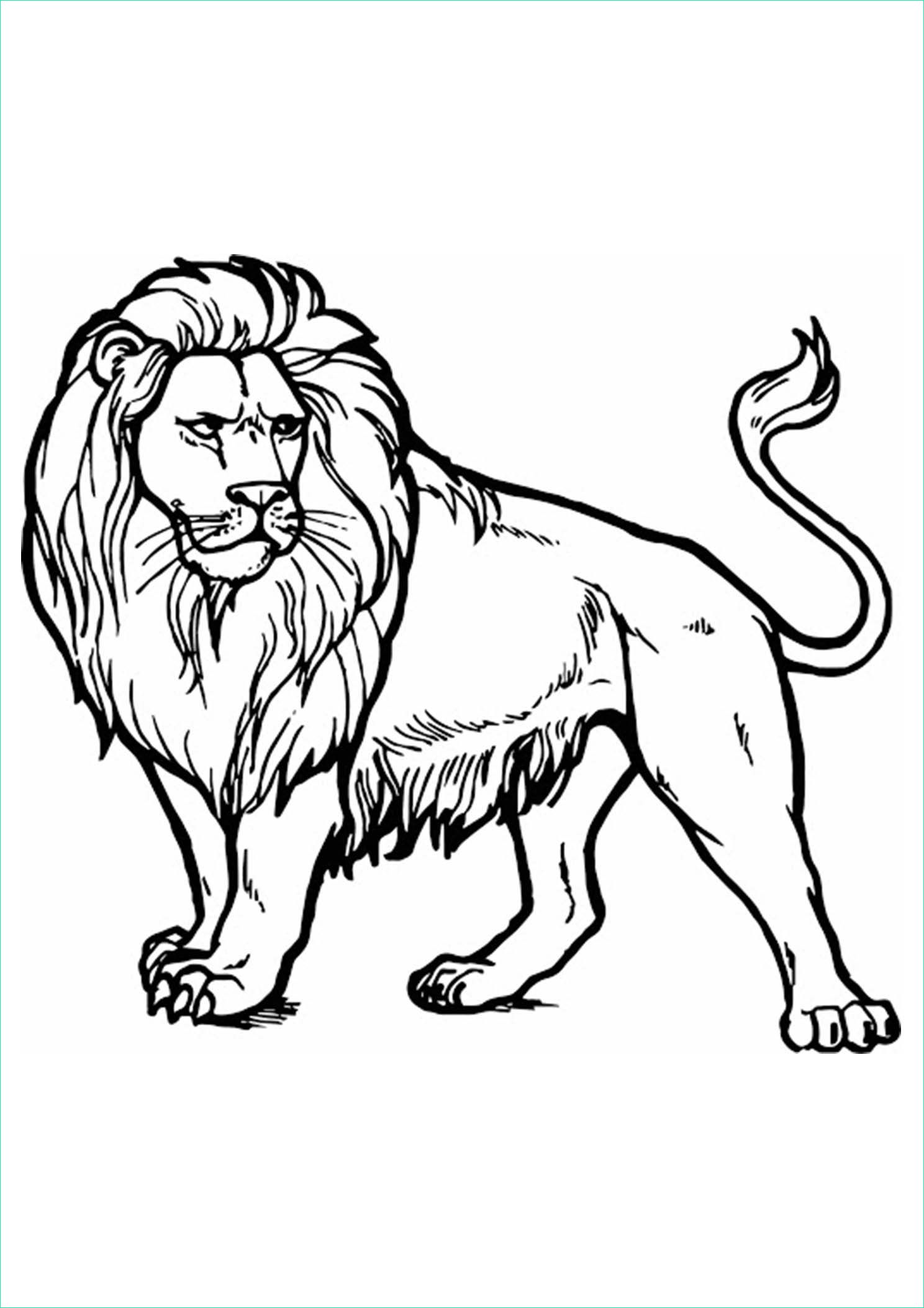 coloriage de lion