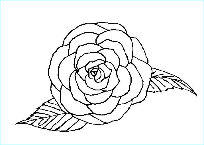 dessin a colorier rose fleur