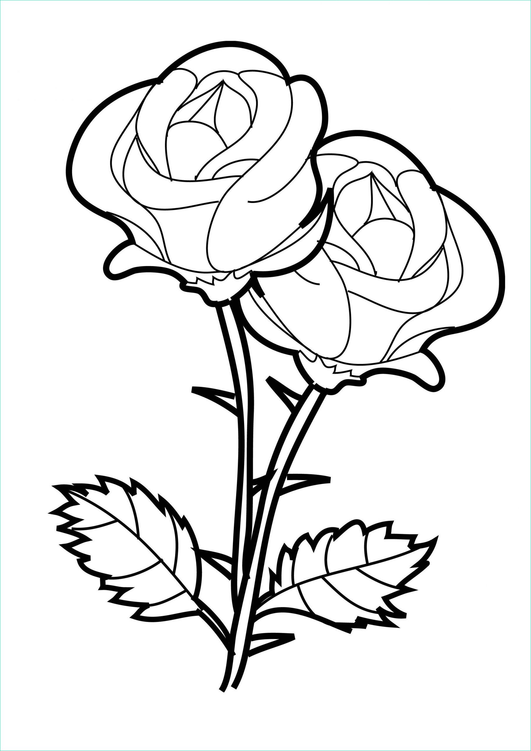 coloriage de roses a imprimer coloriage roses les beaux dessins de nature a imprimer