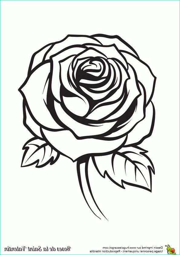 dessin de rose a imprimer