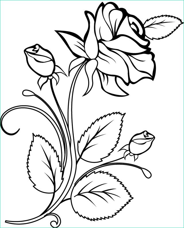 dessin rose noir et blanc unique photos bouquet de fleurs nature coloriages a imprimer