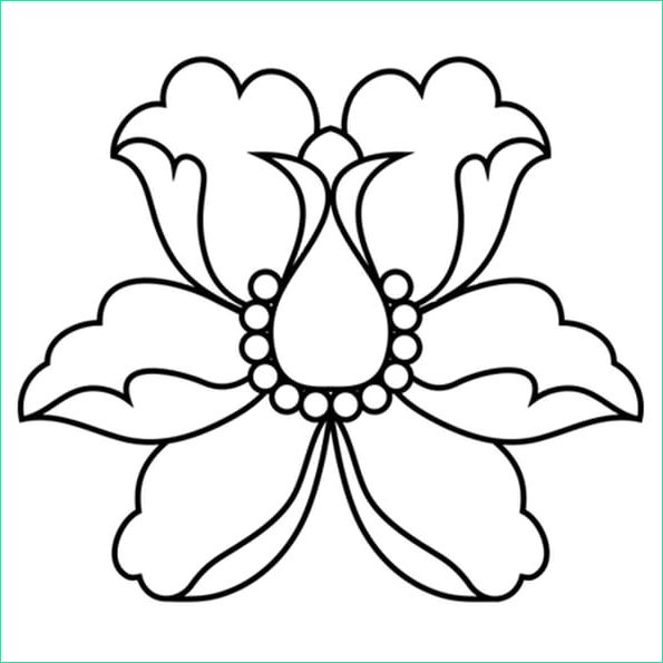 fleurs lotus dessin
