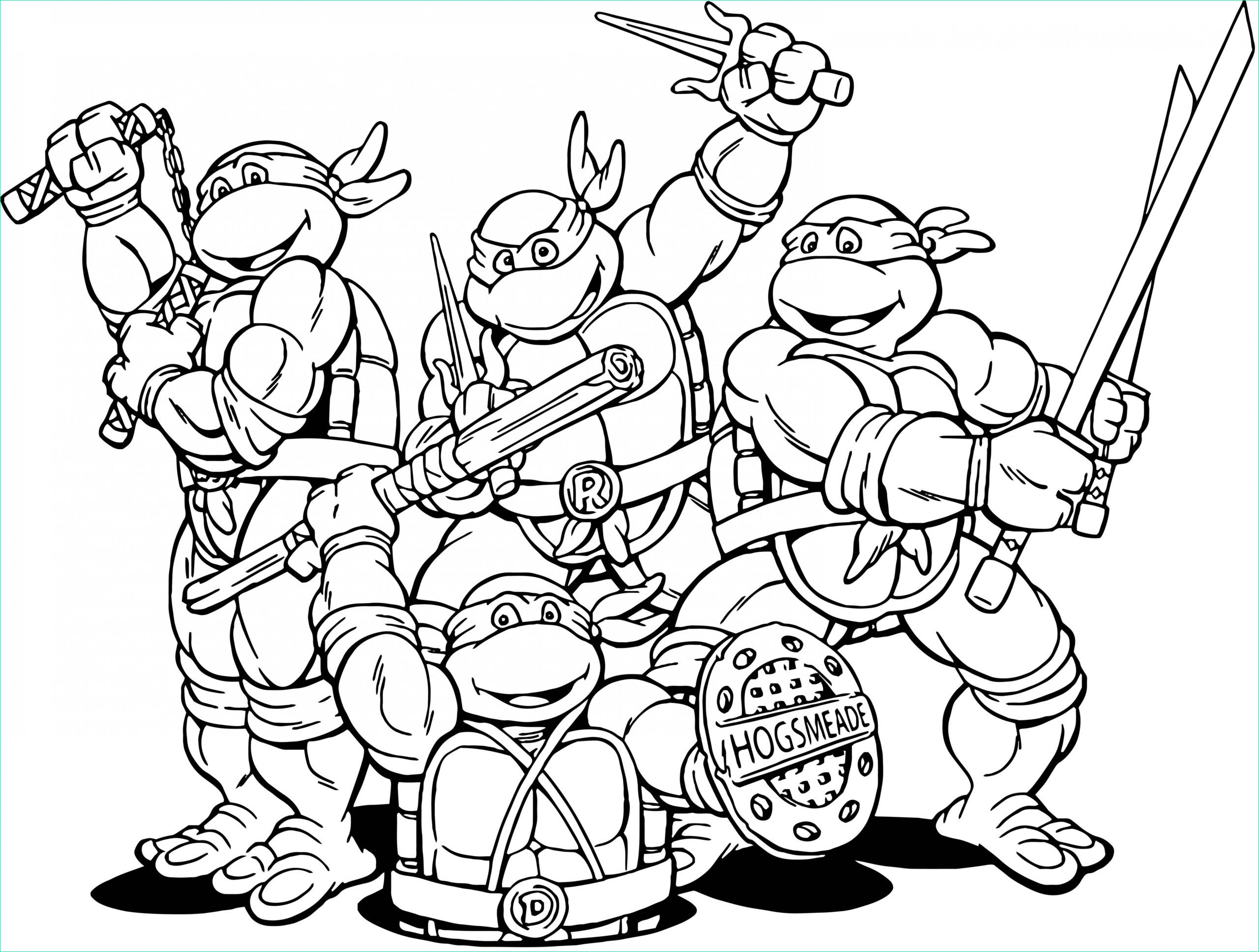 teenage mutant ninja turtles with weapons