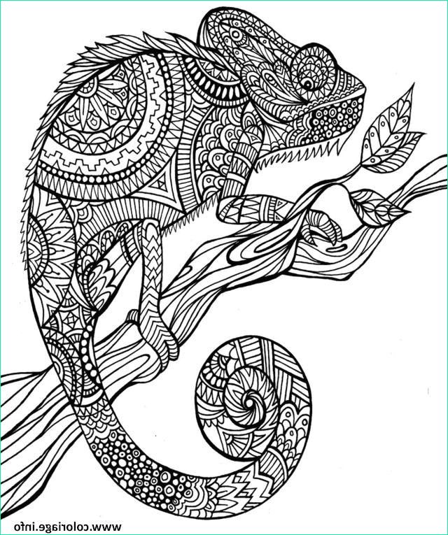 coloriage anti stress gratuit en ligne imprimer mandala animaux dessin a imprimer gratuit 2