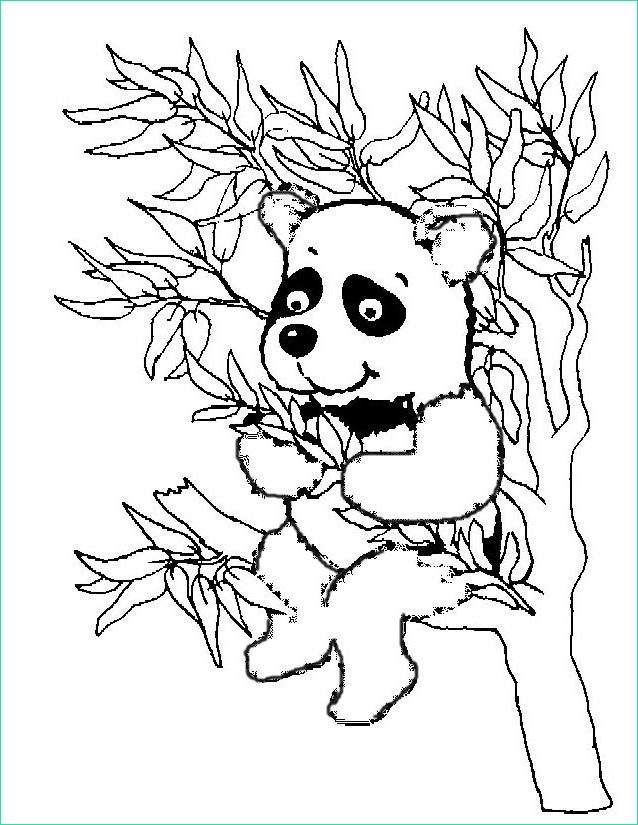 coloriage panda