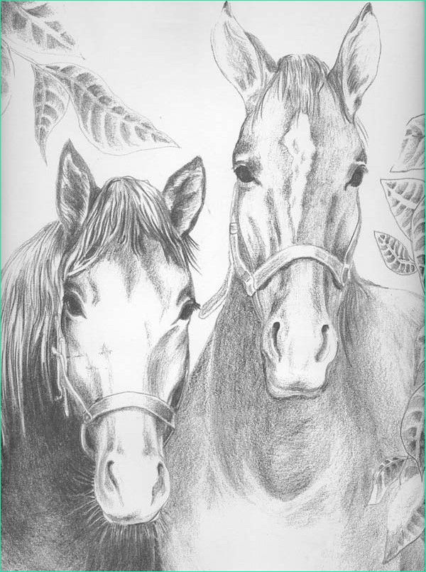 color v3 lang=en&theme id=326&theme=horses&image=coloriage chevaux g 3